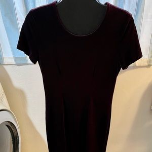 Dress Barn Plum Velvet